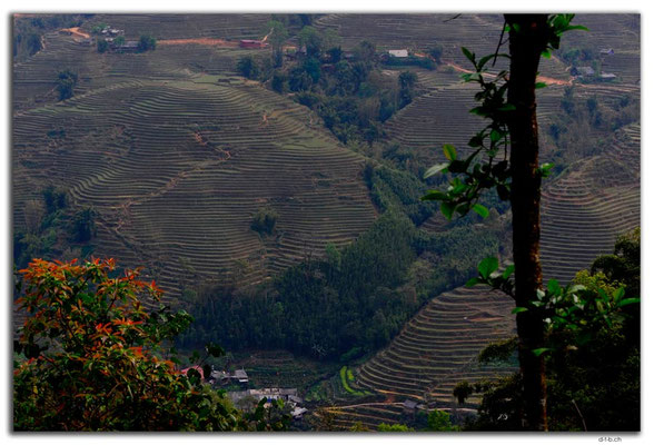  VN0058.Sapa.Muong Hoa Valley