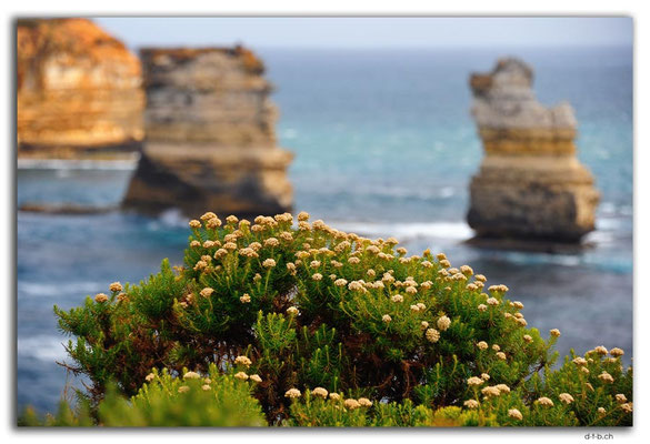 AU1158.Bay of Islands