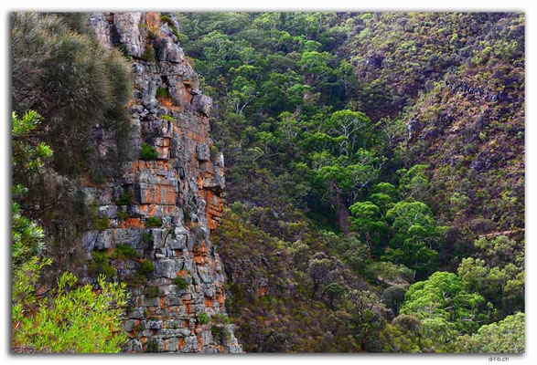 AU1108.Adelaide.Morialta Falls.Steilwand