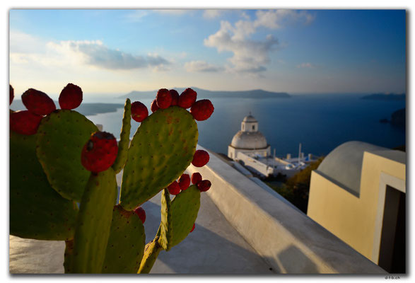 GR0631.Fira