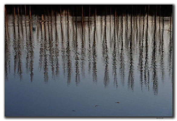 KG0098.Cholpon Ata.Spiegelung am Seelein