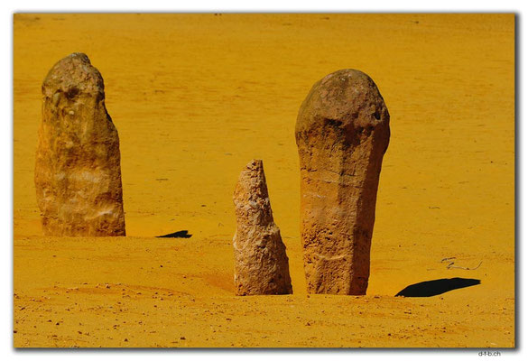 AU0581.Nambung N.P.Pinnacles