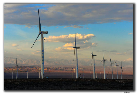 CN0036.Windpark am Abend