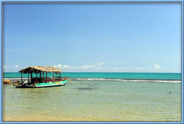 JM085.Treasure Beach
