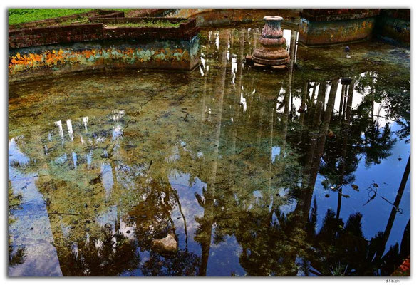 SR0015.Paramaribo.Palmentuin