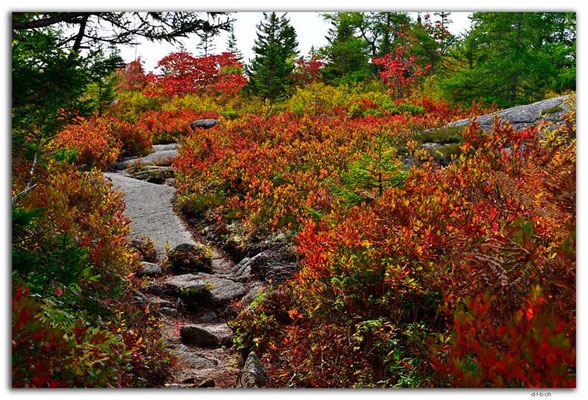 CA1318.Timberlea.Bluff Trail