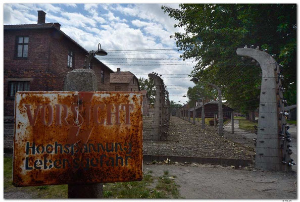 PL027.Auschwitz.Schild und Zaun