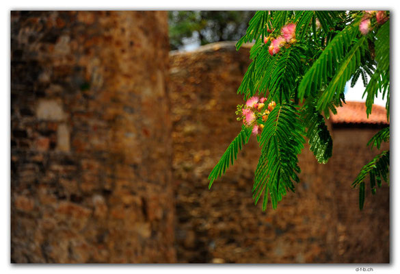 ES0182.León.Muralla romana