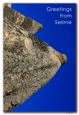 T042.Selime.TR