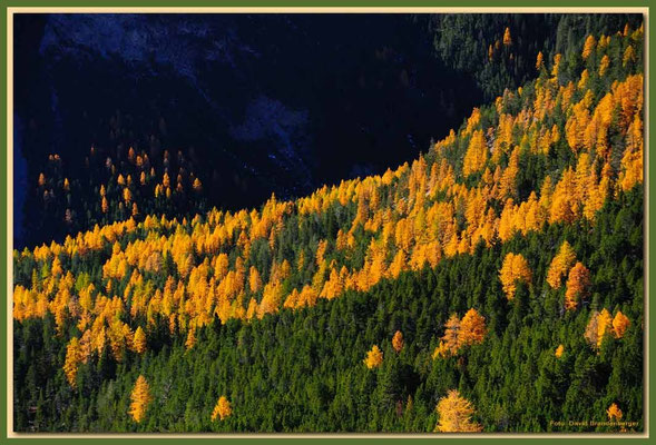 A0704.Nationalpark.CH