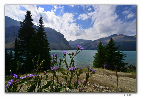 CA0626.Bow Lake
