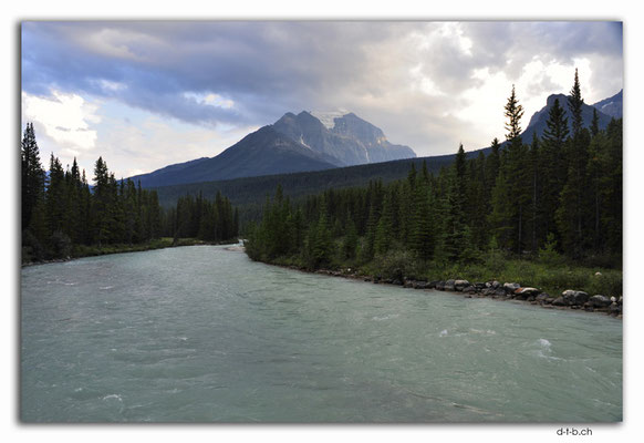 CA06323.Bow river at Lake Louise.