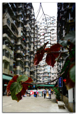 HK0145.Fok Cheong Bldg