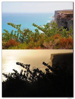 AU0931.Great Australian Bight bei 52K