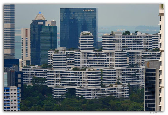 SIN0082.Lookout from SkyVille @ Dawson to the Interlace