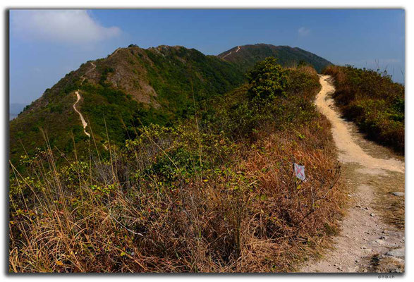 HK0124.Tai To Yan Walking trail