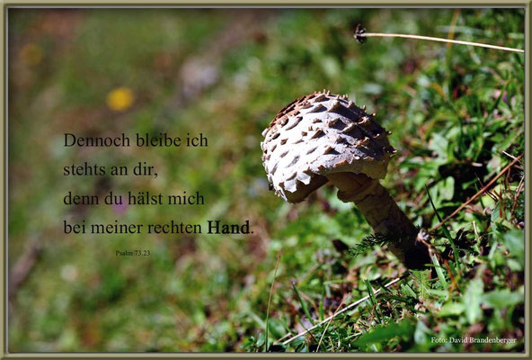 S0143.Pilz.Klosters.CHPsalm 73.23
