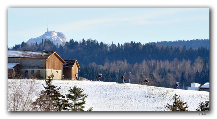 A0846.Silvesterchlausen.Waldstatt