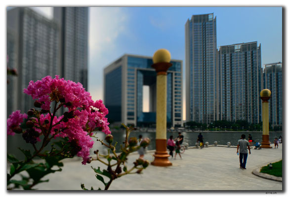 CN0391.Tianjin.Haihe River
