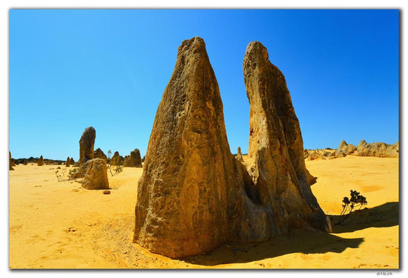AU0584.Nambung N.P.Pinnacles