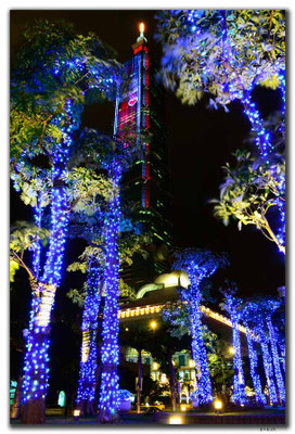 TW0036.Taipei.101