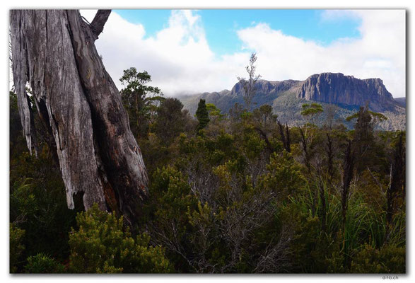 AU1377.Overland Track.Cathedral Mountain