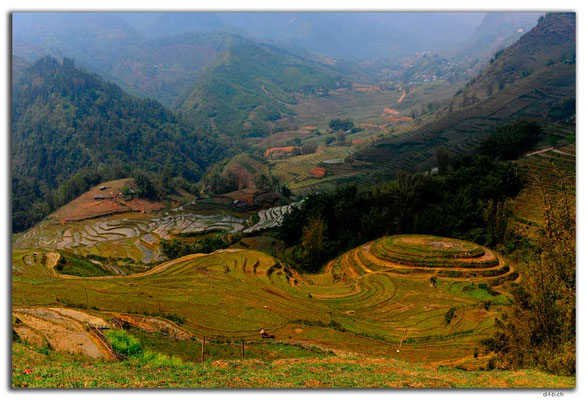 VN0052.Sapa.Muong Hoa Valley