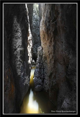 C0827Stone Forest