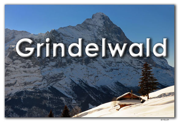 Fotogalerie Grindelwald 1 / Photogallery Grindelwald 1