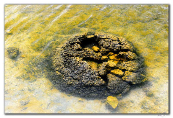 AU0574.Cervantes.Lake Thetis.Stromatolites