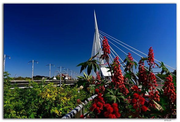 CA0818.Winnipeg.Esplanade Riel Footbridge