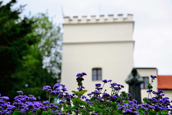 CZ004 Uhersky Brod Museum
