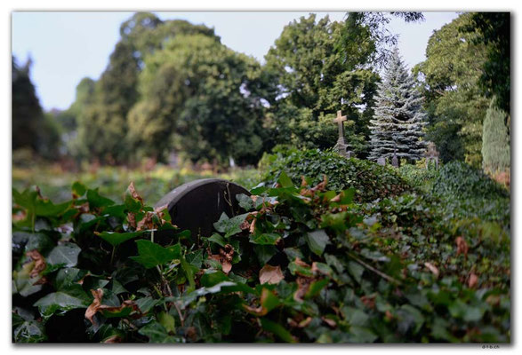 PL134.Lodz.Friedhof