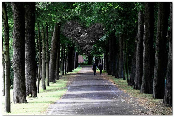 DE131.Wickrath.Allee