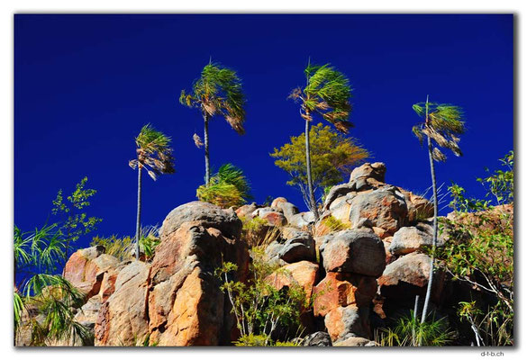 AU00120.Katherine Gorge