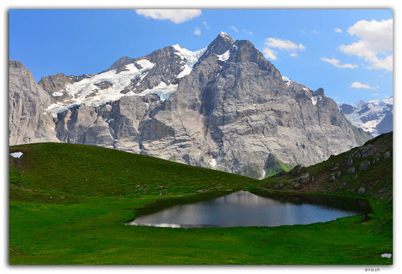 GW0533.Hornseewli vor Wetterhorn