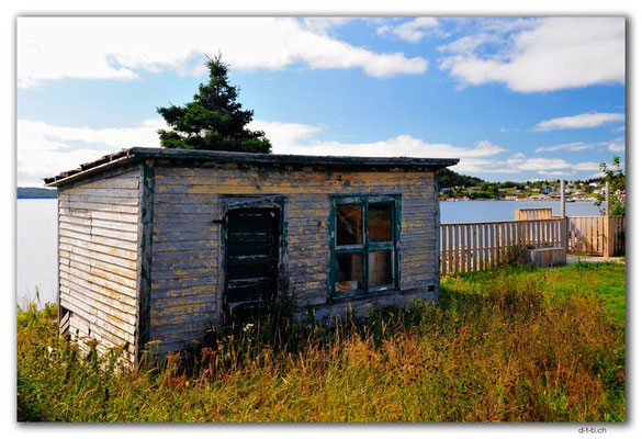 CA1231.Newfoundland.Dildo