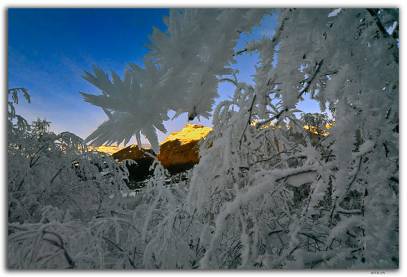GW0674.Reeti and ice crystals