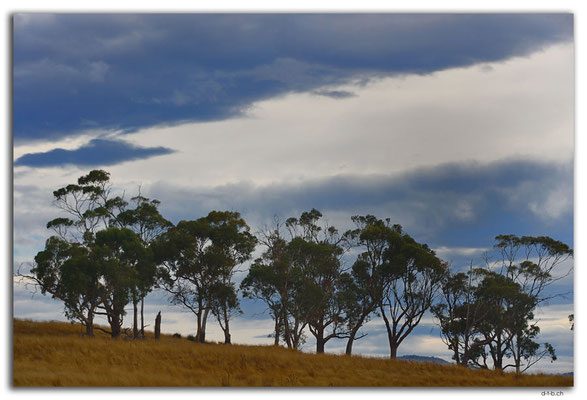 AU1316.Bruny Island