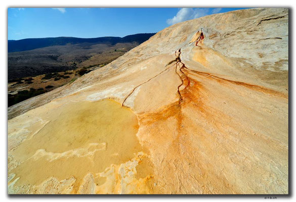 IR0301.Badab Soort