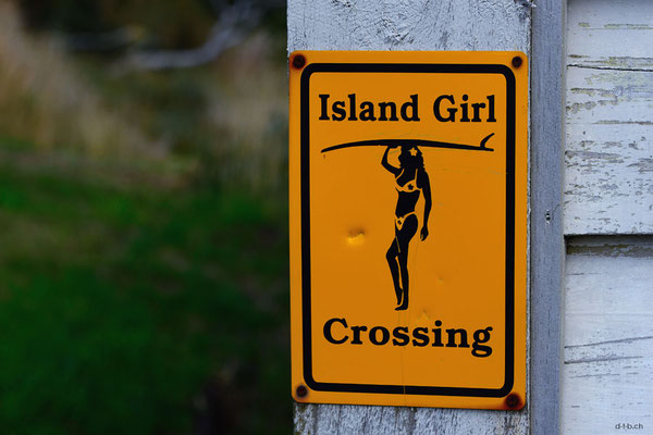New Zealand, Stewart Island, Oban 1