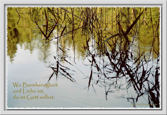 S0001,Crestasee,Flims,CH
