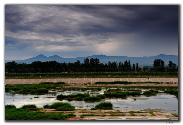 CN0334.Yanghe River