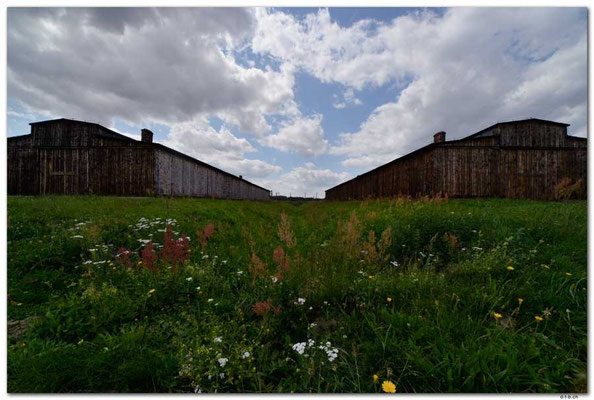 PL031.Birkenau.Barraken