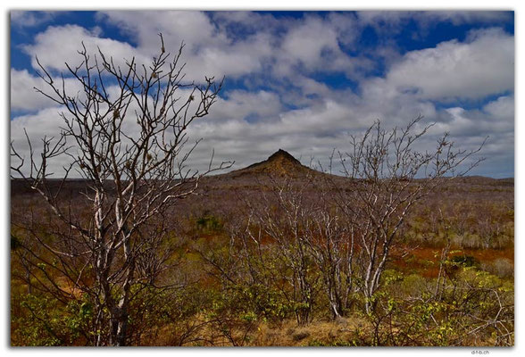 EQ0154.Santa Cruz Island.View from Dragon Hill