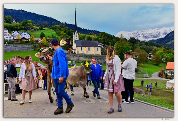CH1170.Alpspektakel Seewis.Rindercontest