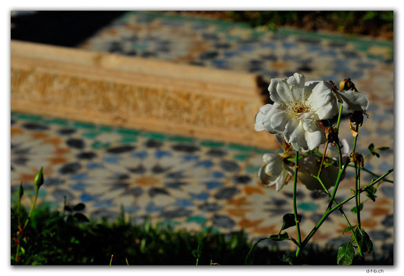 MA0142.Marrakech.Saadian Tombs