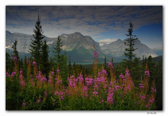 CA0630.Waputik Peak