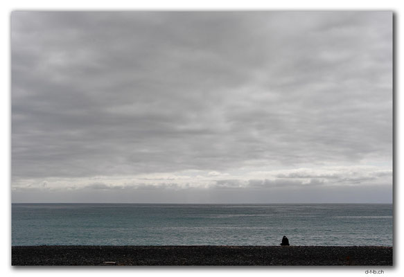 NZ0697.Kaikoura.Lonely Sea