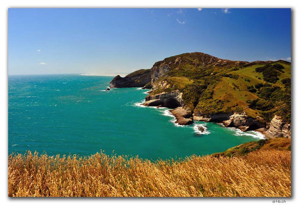 NZ0621.Puponga Farm Park.Coastline
